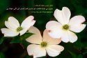 hadith-ur-129