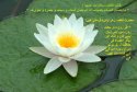 hadith-ur-140