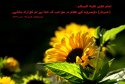 hadith-ur-173