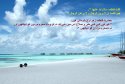 hadith-ur-240