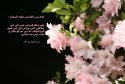 hadith-ur-262