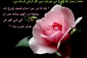 hadith-ur-272