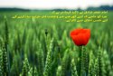 hadith-ur-282