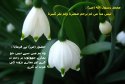 hadith-ur-283