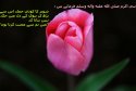 hadith-ur-286