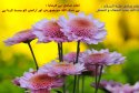 hadith-ur-288