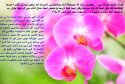 hadith-ur-289