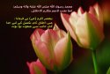 hadith-ur-291