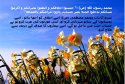 hadith-ur-299