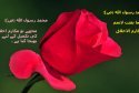 hadith-ur-301