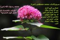 hadith-ur-308