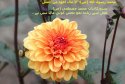 hadith-ur-309