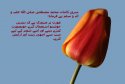 hadith-ur-313