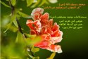 hadith-ur-315