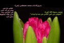 hadith-ur-322