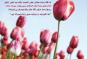 hadith-ur-327