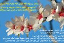 hadith-ur-333