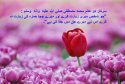 hadith-ur-336