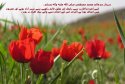 hadith-ur-353