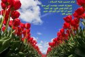 hadith-ur-357