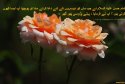 hadith-ur-360