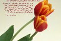 hadith-ur-361