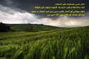 hadith-ur-365