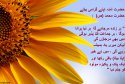 hadith-ur-371