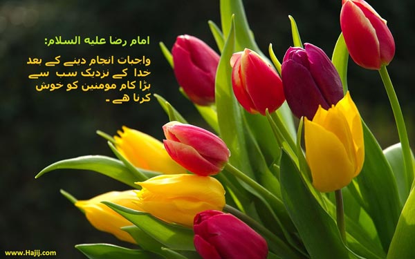 امام رضا علیہ السلام کی چالیس حدیثیں