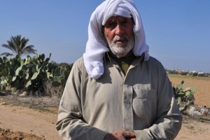 فلسطینیوں کی زرعی زمینوں کی تباہی کے لئے کیمیا‍ ئی مواد کا استعمال