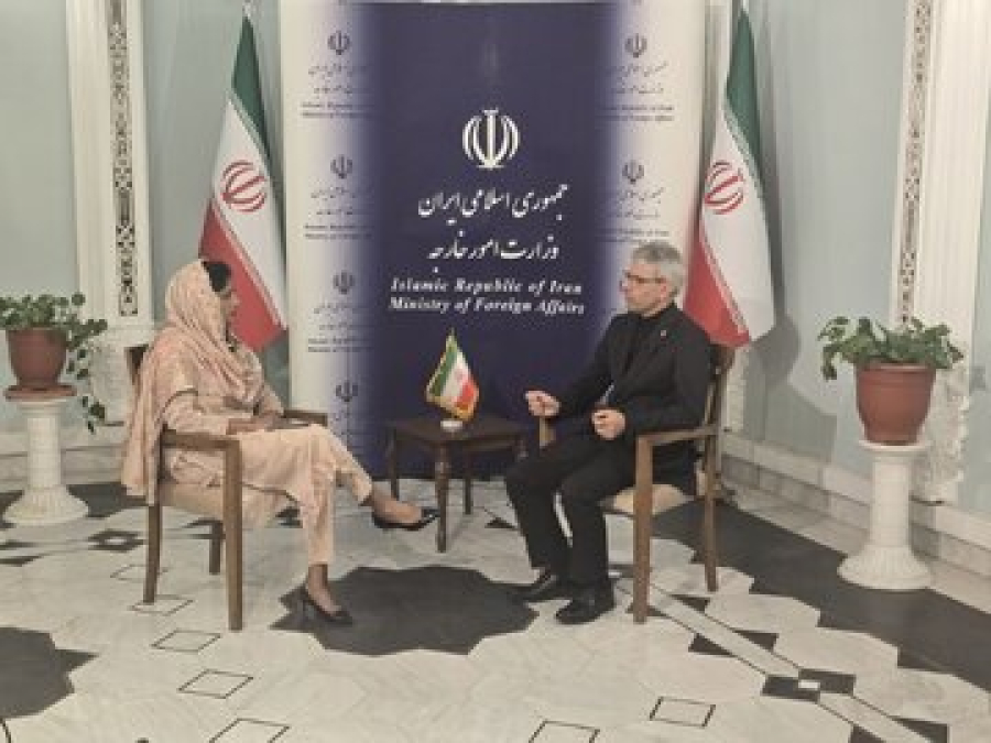 ایران کے پاس عسکری میدان میں بہت سے سرپرائز ہیں/ دوسرے ممالک کے ساتھ تہران کے تعلقات ہندوستان کے خلاف نہیں ہیں۔