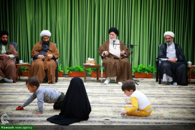 آیت اللہ علم الہدی: گھر میں خواتین کی فداکاری و خدمت، مردوں کے جہاد کے برابر ہے