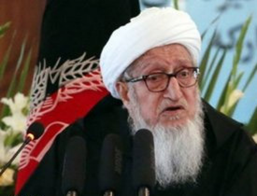 افغانستان کے سابق صدر: جو شخص حضرت علی (ع) کو دوست نہ رکھے اہل سنت سے خارج ہے