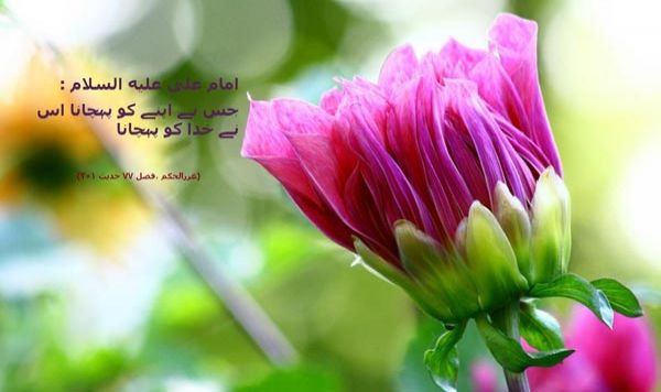 حضرت امام علی علیه السلام کی چند احادیث