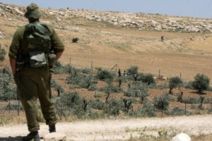 فلسطینی زرعی اراضی کی تباہی
