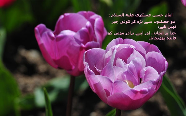امام حسن عسکری(ع) کےاخلاق و اوصاف