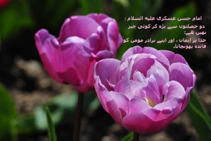 امام حسن عسکری(ع) کےاخلاق و اوصاف