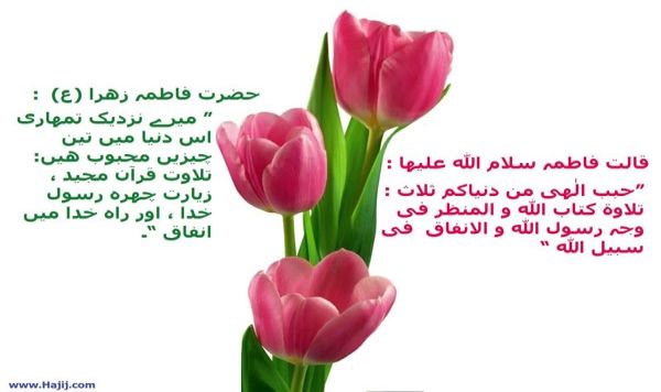 حضرت فاطمہ زہرا سلام اللہ علیہا کا اخلاق و کردار