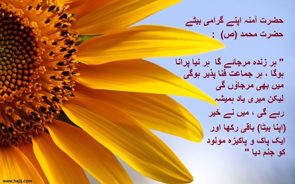 آمنہ ، حضرت خاتم الانبیاء محمد مصطفی (ص) کی مادر گرامی