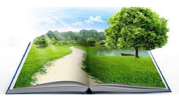 ماحولیاتی حقوق احادیث نبوی کی روشنی میں