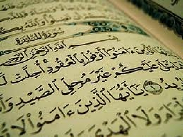 سورة المائدة