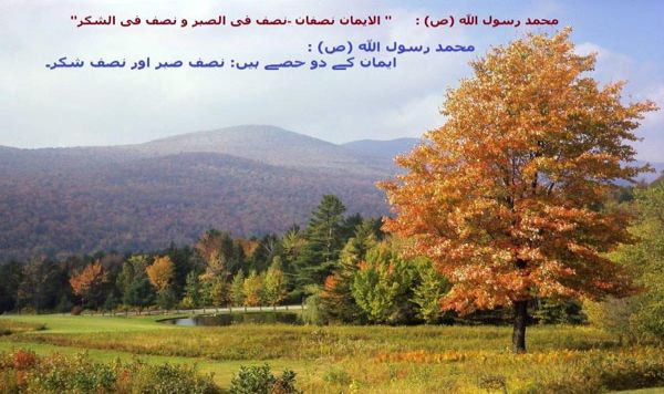 صبر، کامیابی اور نجات کا راستہ