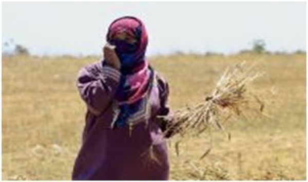 غزہ میں غذائی اشیاء کی شدید قلت